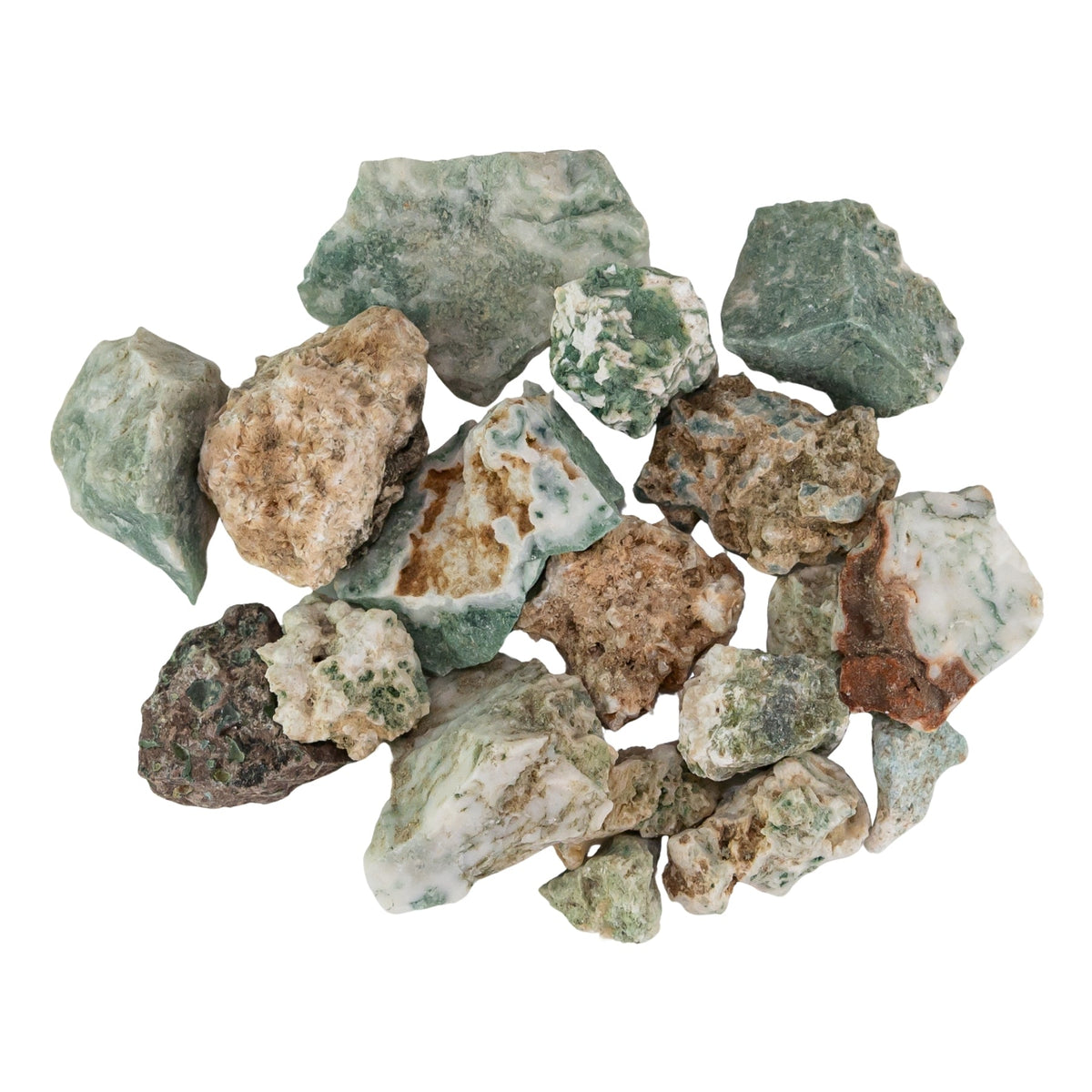 Tree Agate Raw 1lb