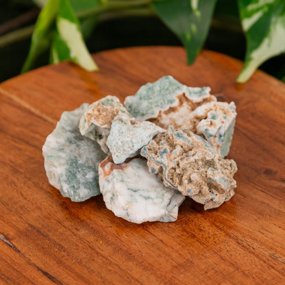 Tree Agate Raw 1lb
