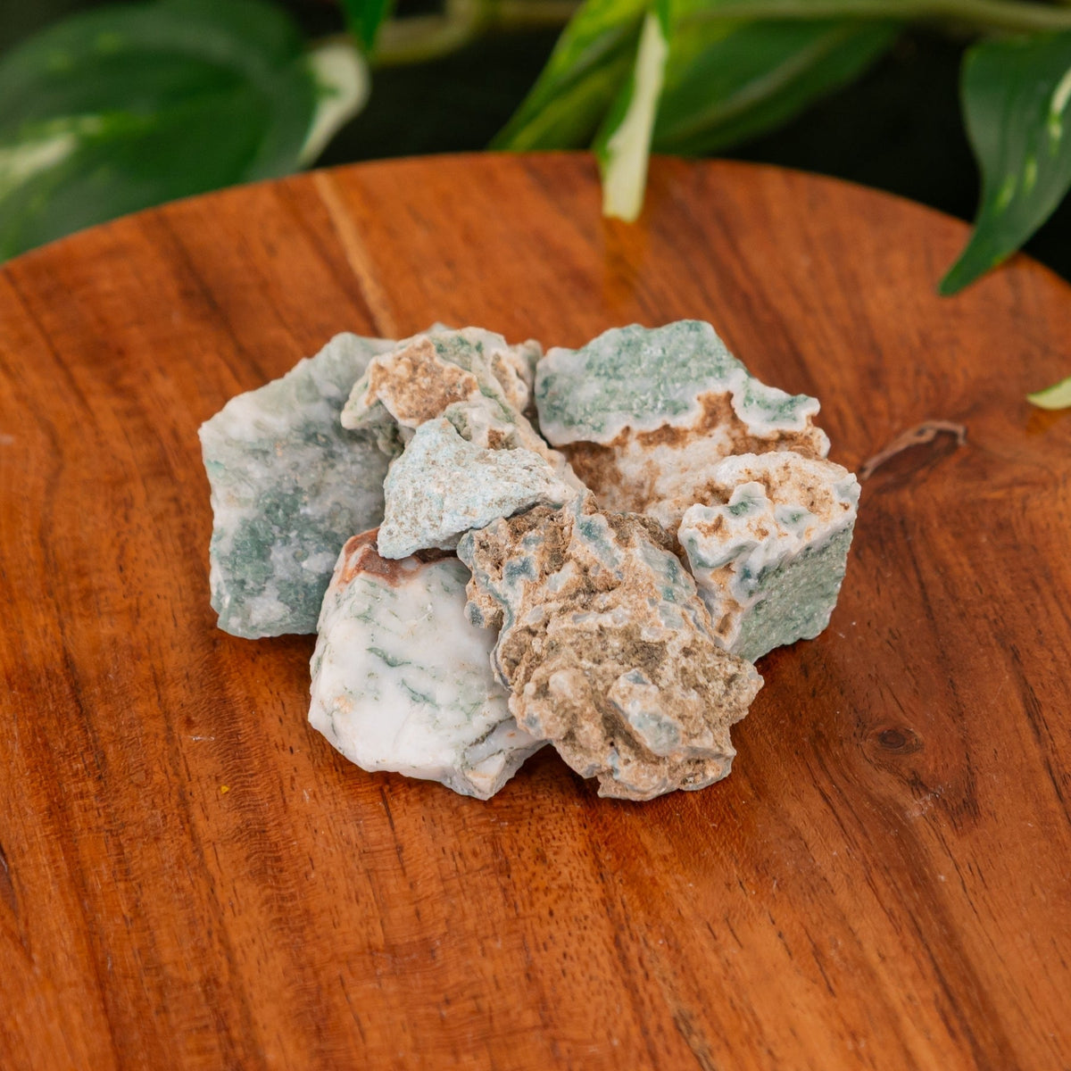 Tree Agate Raw 1lb