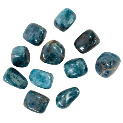 Blue Apatite Tumbled 1lb