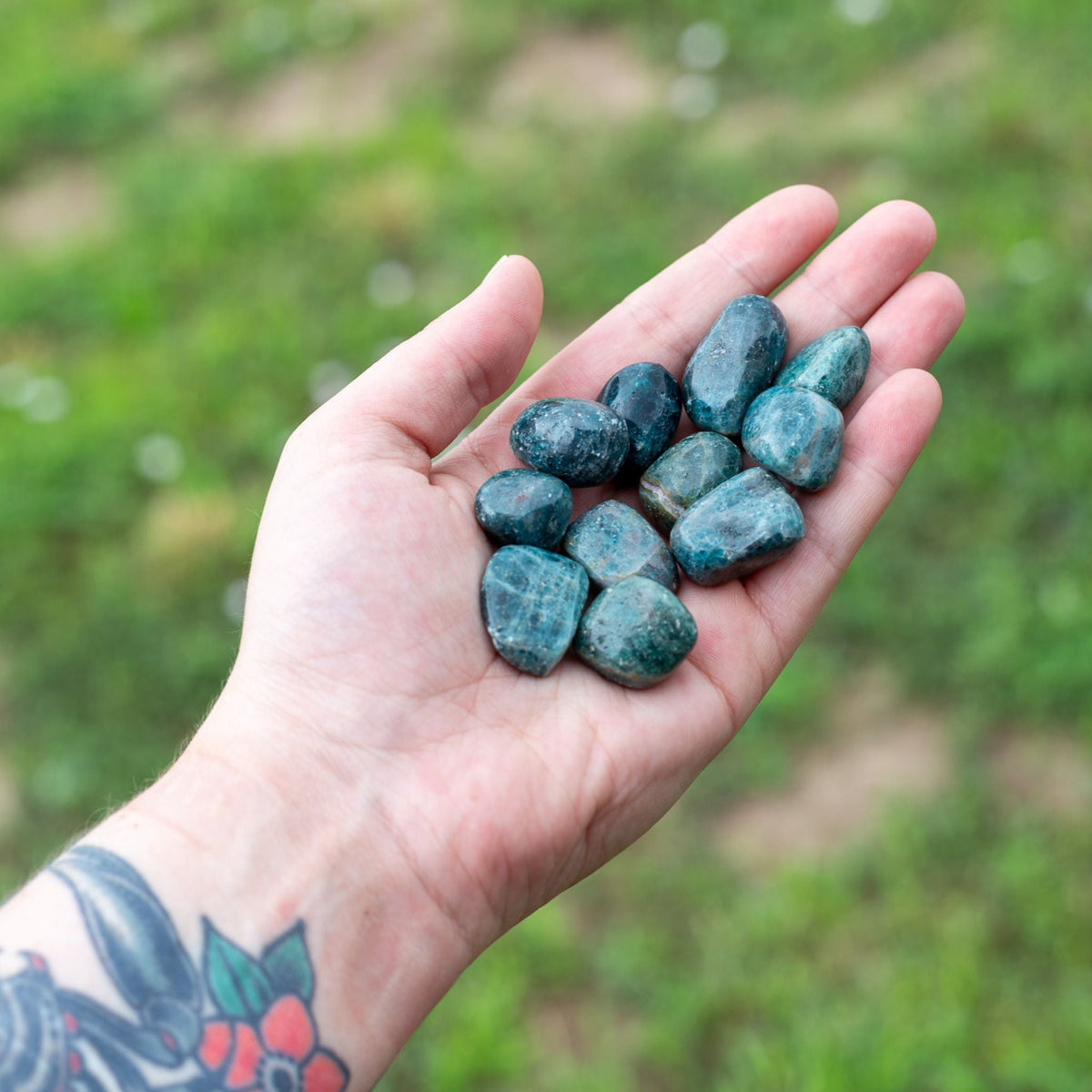 Blue Apatite Tumbled 1lb
