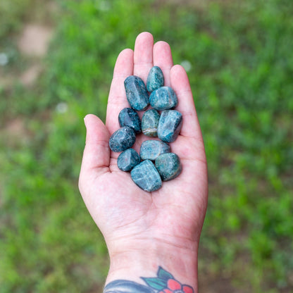 Blue Apatite Tumbled 1lb