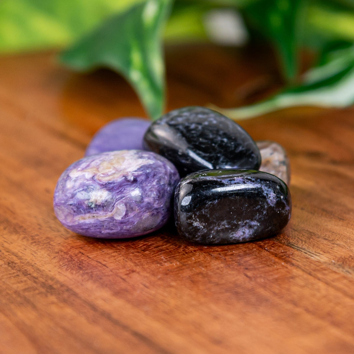 Charoite Tumbled 1/2lb