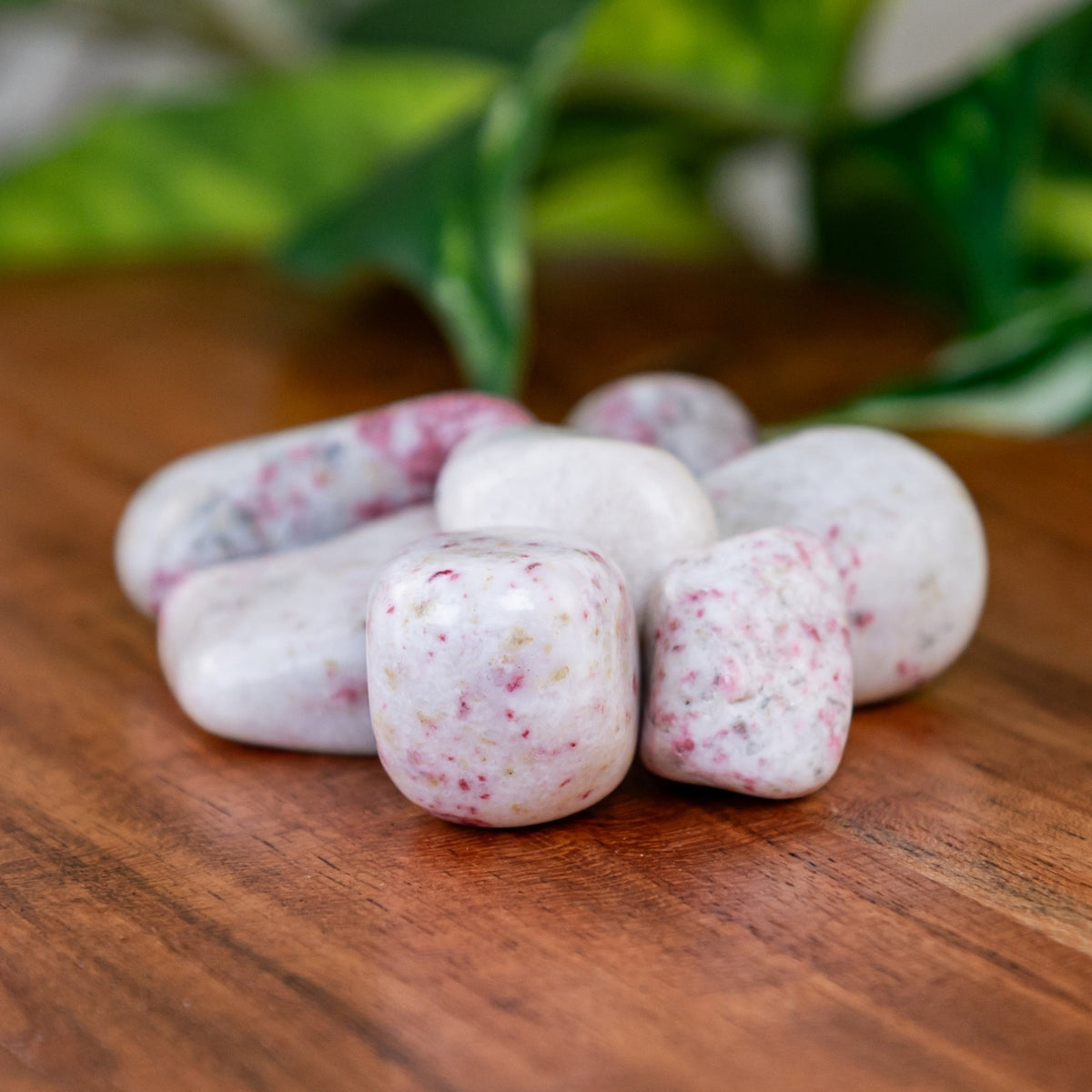 Cinnabar Tumbled 1lb