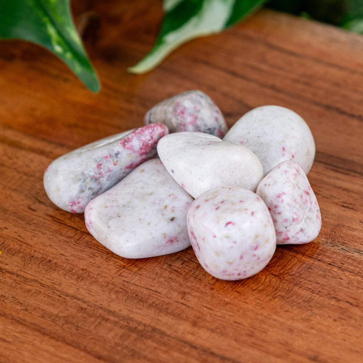 Cinnabar Tumbled 1lb