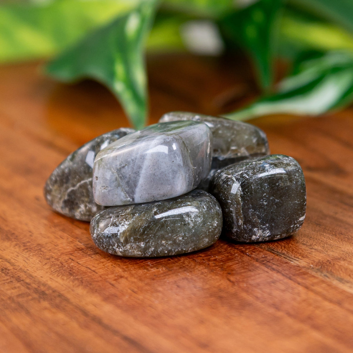 Labradorite Tumbled 1lb