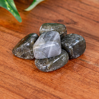 Labradorite Tumbled 1lb