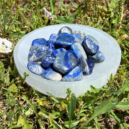 Lapis Lazuli Tumbled 1lb