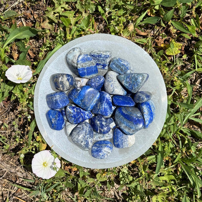 Lapis Lazuli Tumbled 1lb