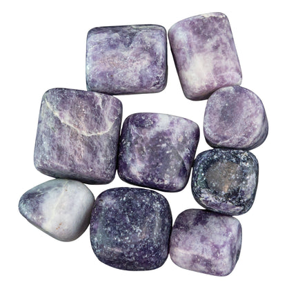 Lepidolite Tumbled 1lb