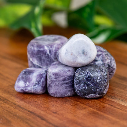 Lepidolite Tumbled 1lb