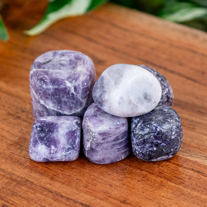 Lepidolite Tumbled 1lb