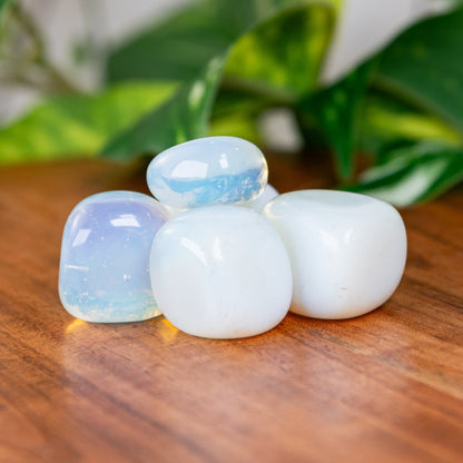 Opalite Tumbled 1lb