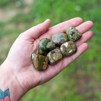 Rhyolite Tumbled 1lb
