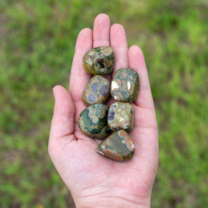 Rhyolite Tumbled 1lb