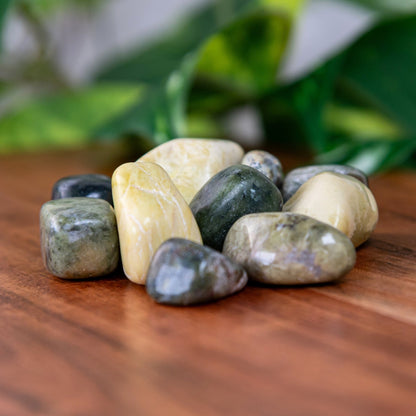 Serpentine Tumbled 1lb