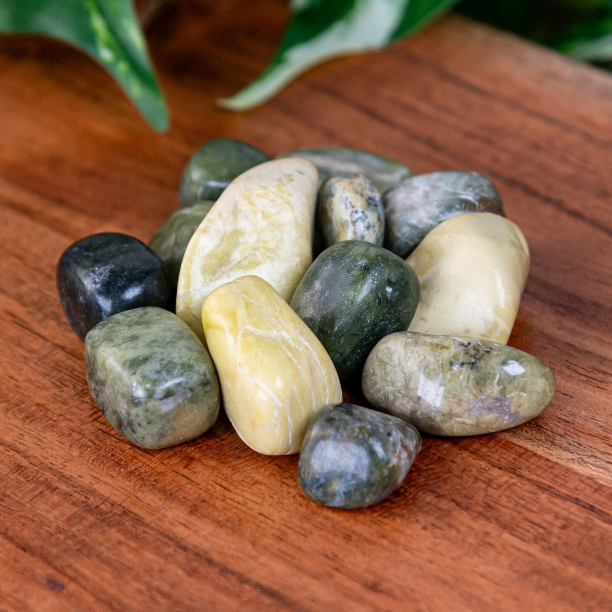 Serpentine Tumbled 1lb