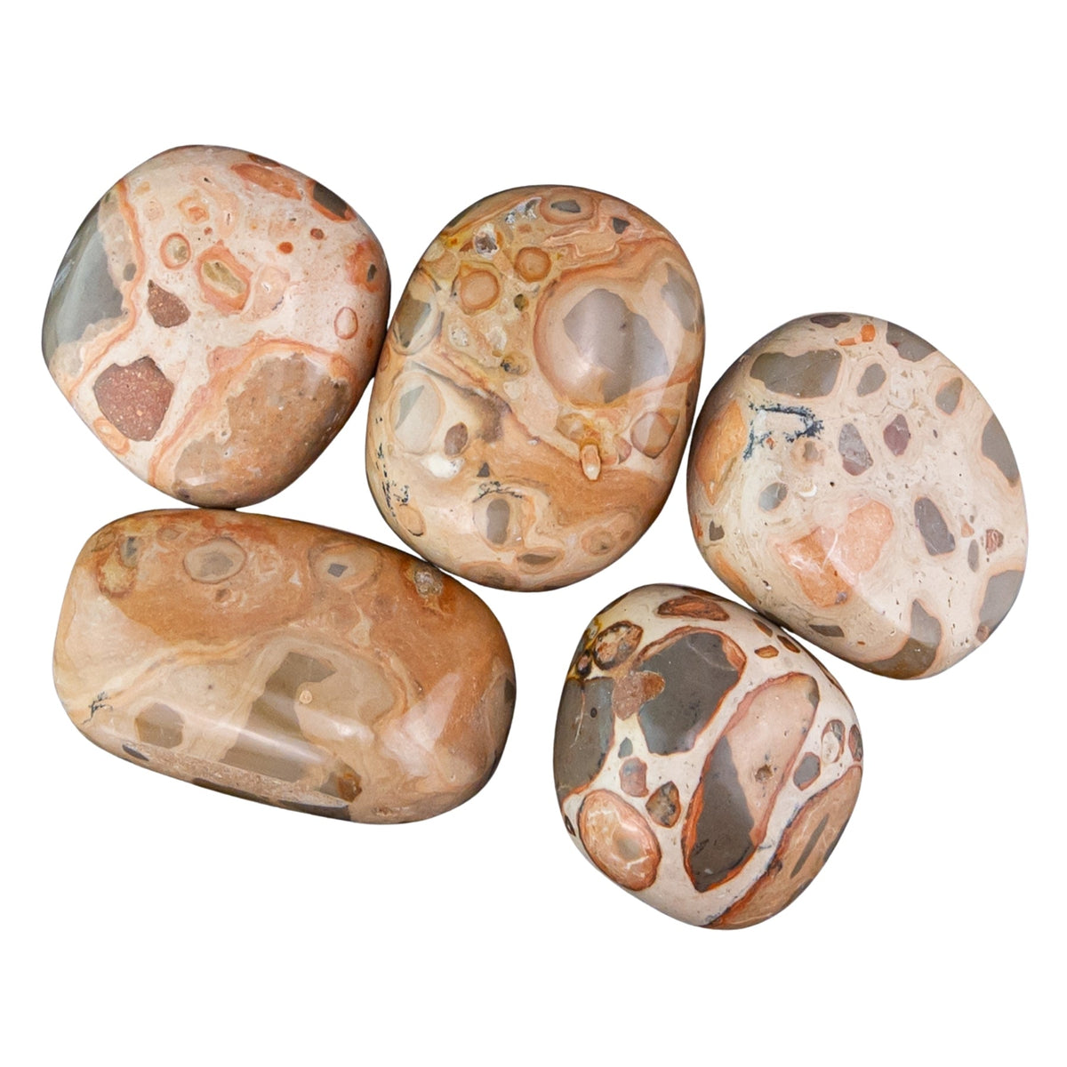 Snakeskin Tumbled 1lb