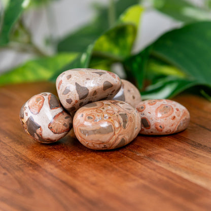 Snakeskin Tumbled 1lb