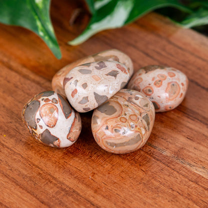 Snakeskin Tumbled