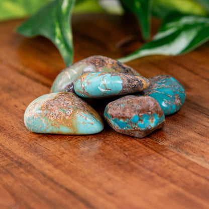 Turquoise Tumbled 1lb