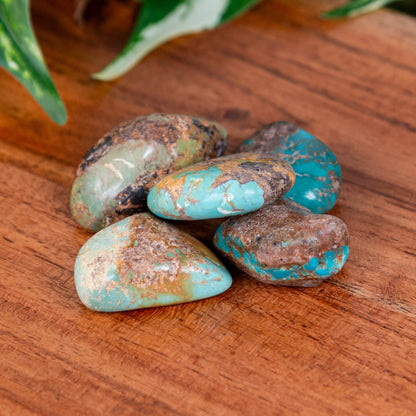 Turquoise Tumbled 1lb