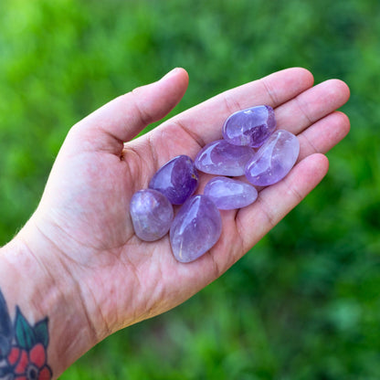 Amethyst Maraba Tumbled 1lb