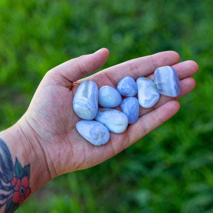 Blue Lace Agate Tumbled 1lb