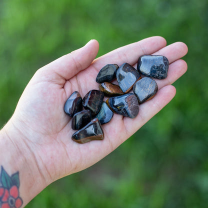 Blue Tiger's Eye Tumbled 1lb