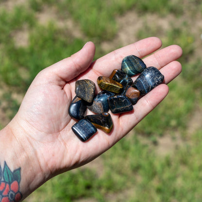 Blue Tiger's Eye Tumbled 1lb