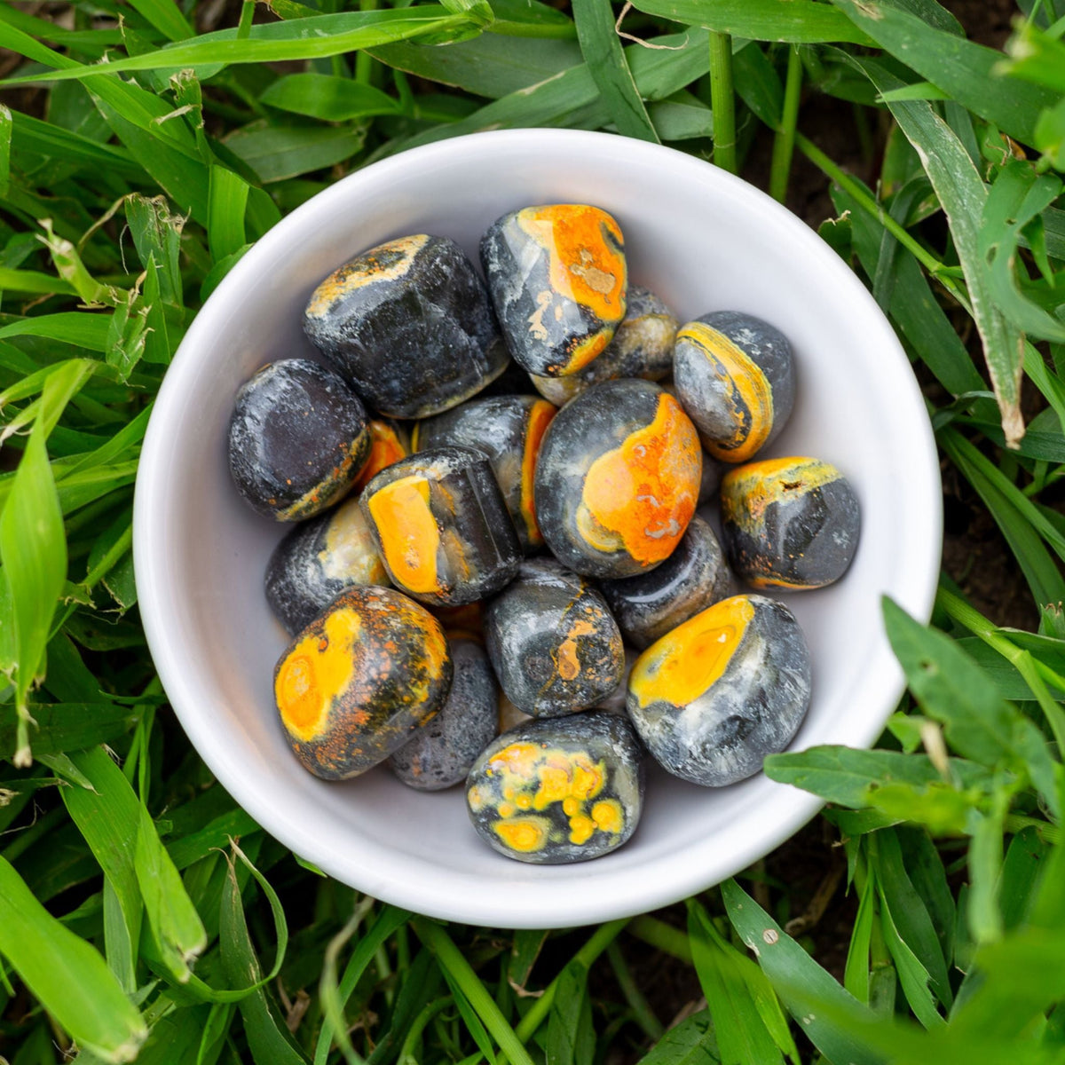 Bumblebee Jasper Tumbled 1lb
