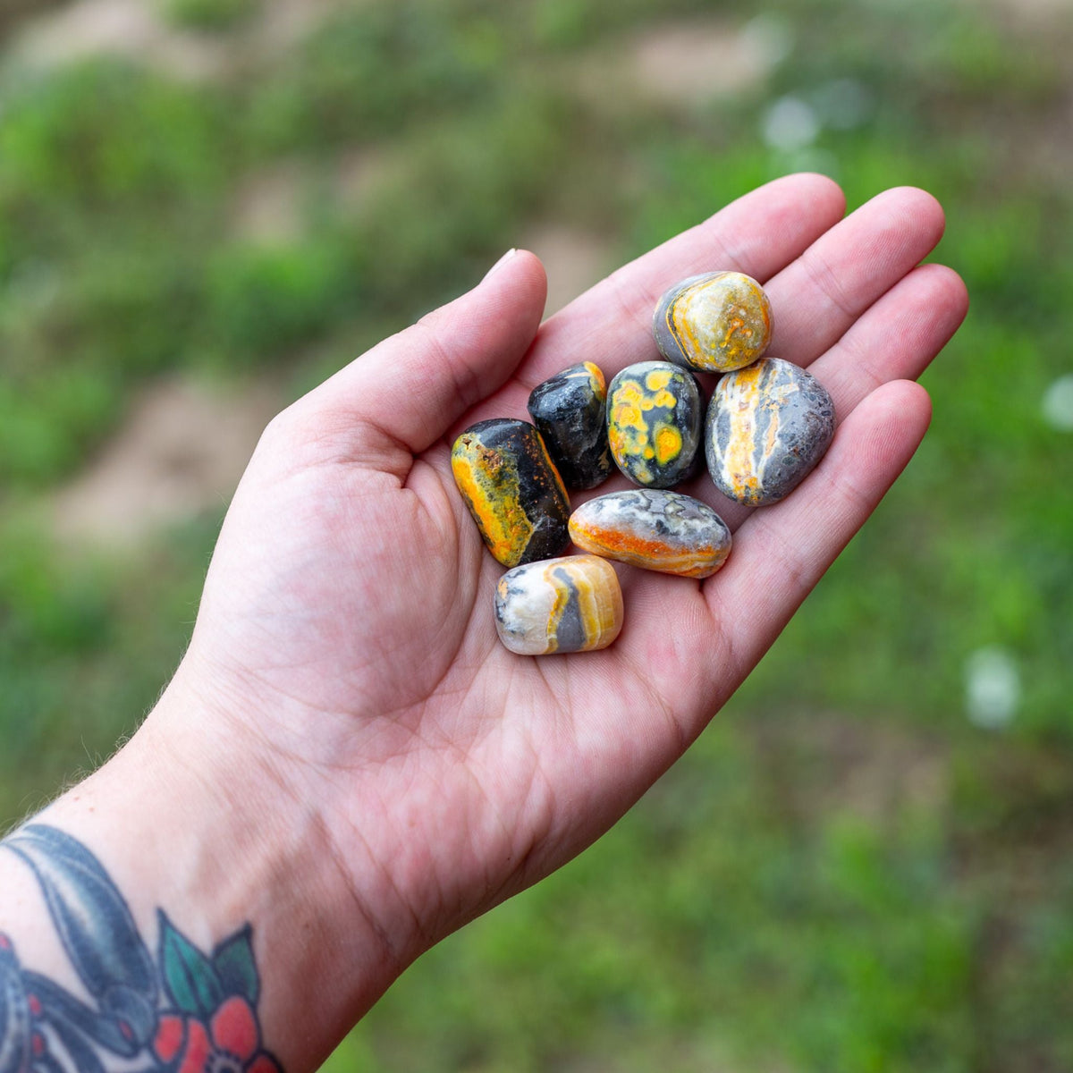 Bumblebee Jasper Tumbled 1lb