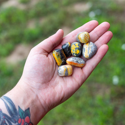 Bumblebee Jasper Tumbled 1lb