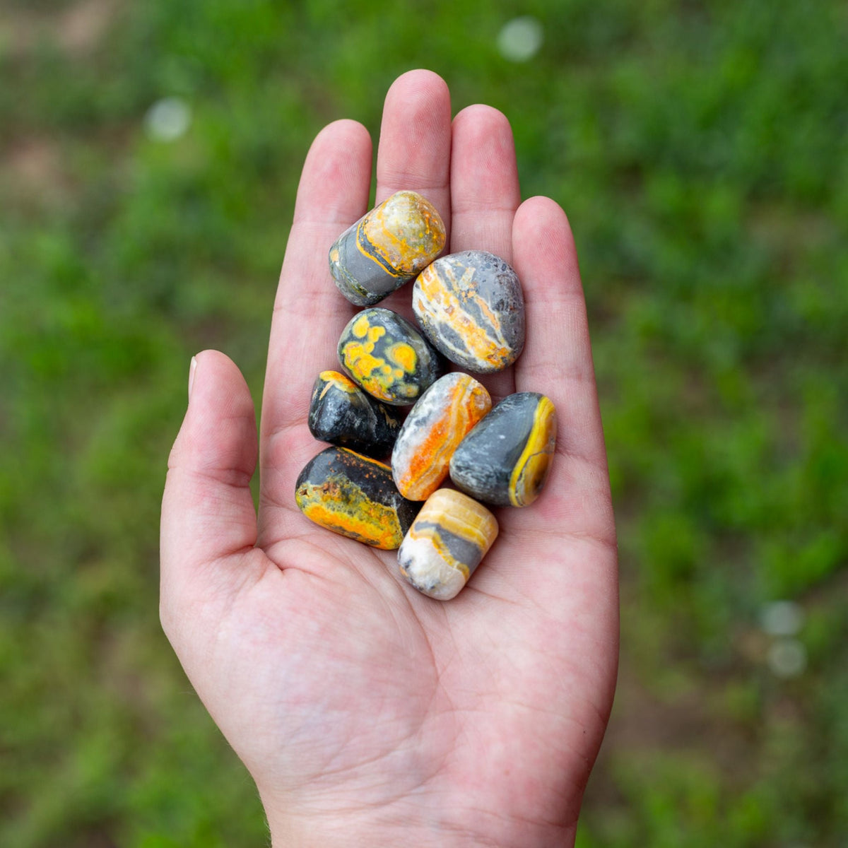 Bumblebee Jasper Tumbled 1lb