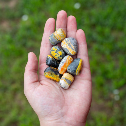 Bumblebee Jasper Tumbled 1lb
