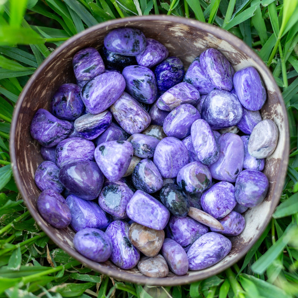 Charoite Tumbled 1/2lb