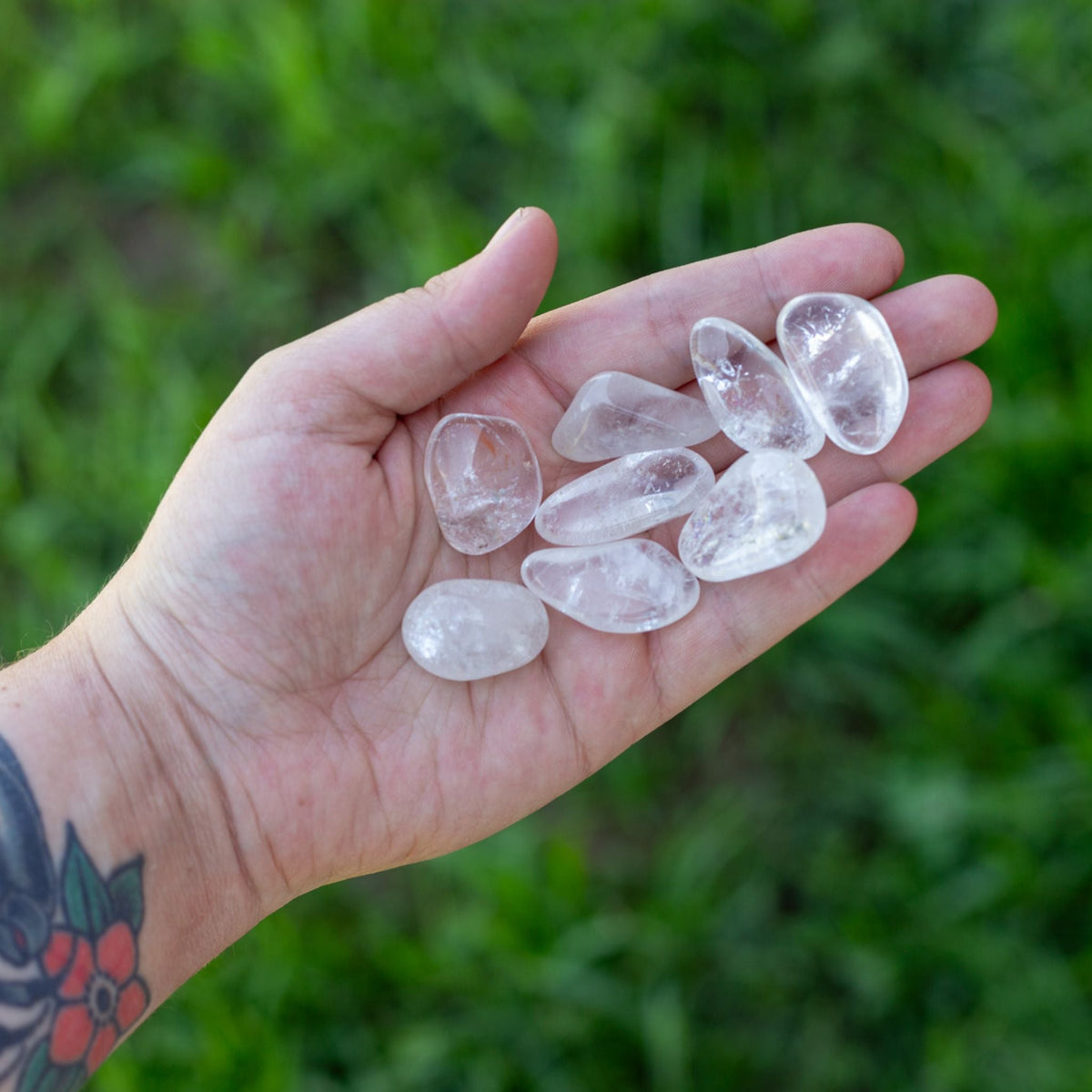 Clear Quartz Tumbled 1lb