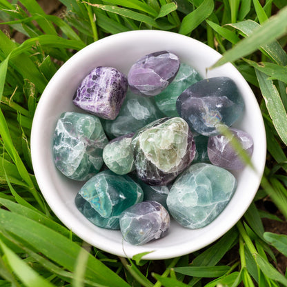 Fluorite Tumbled 1lb