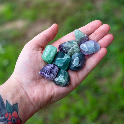 Fluorite Tumbled 1lb