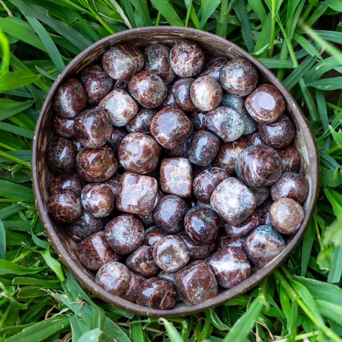 Garnet Tumbled 1lb