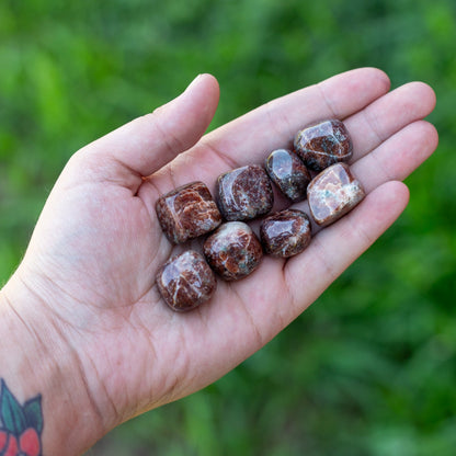 Garnet Tumbled 1lb