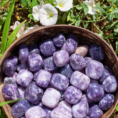 Lepidolite Tumbled 1lb