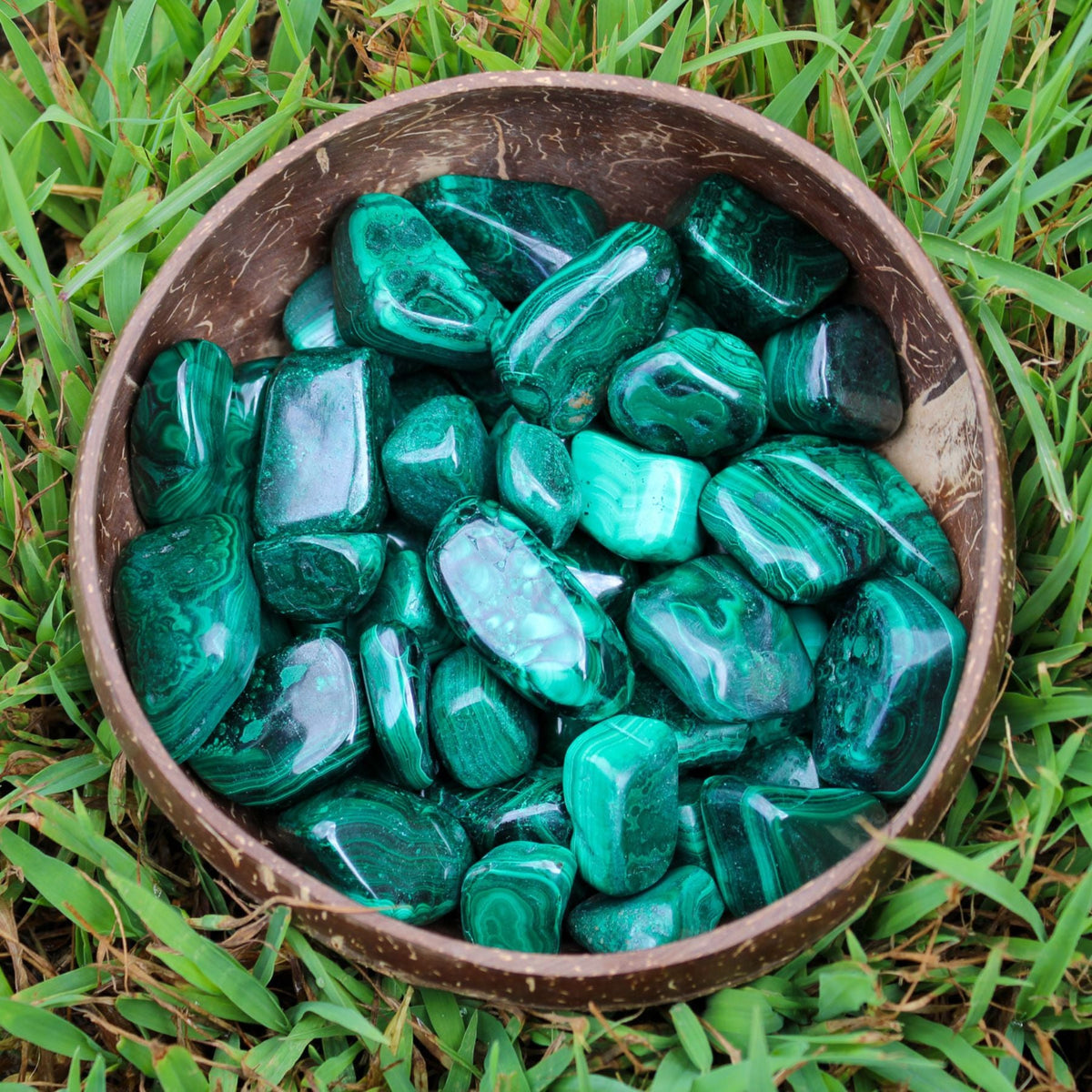 Malachite Tumbled 1lb