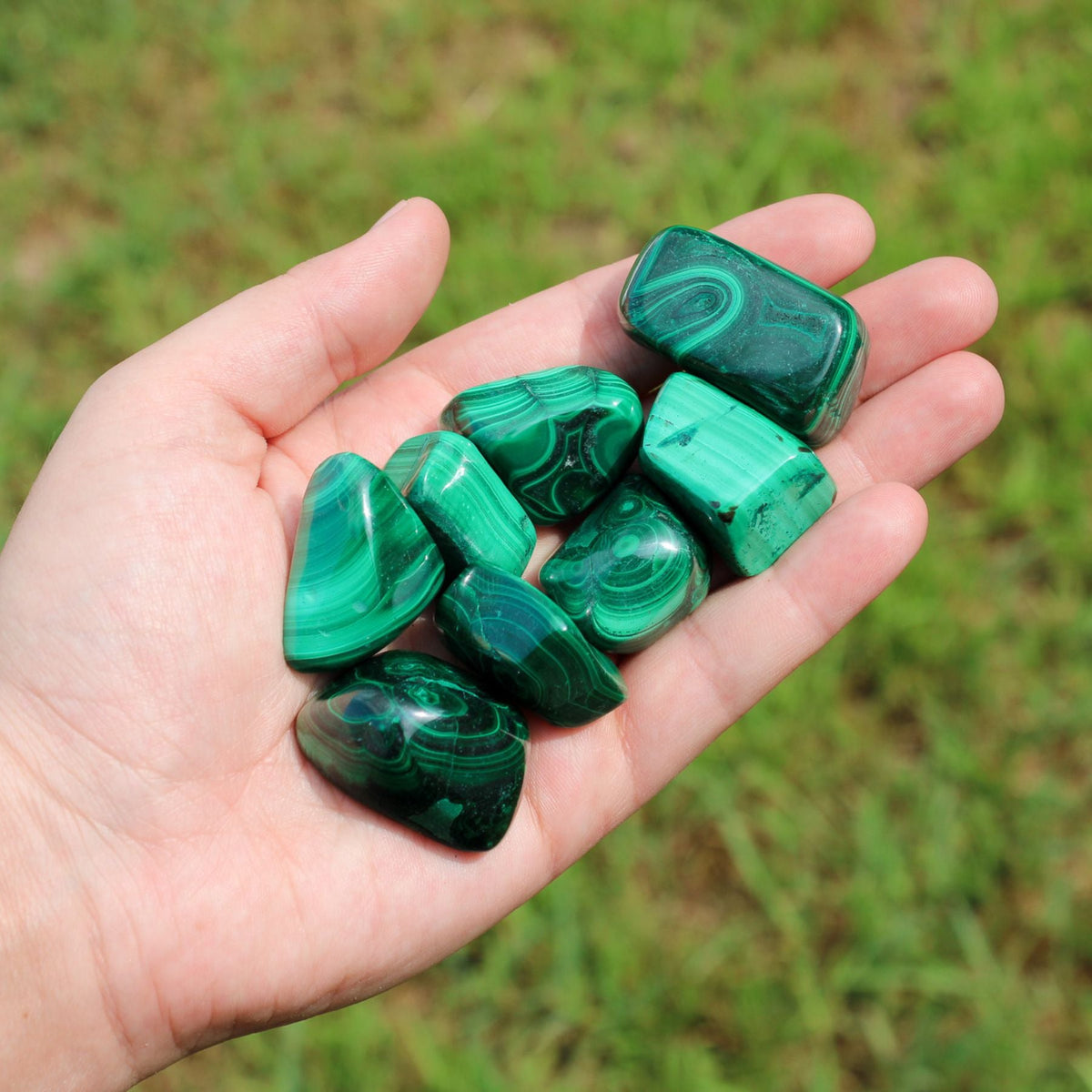 Malachite Tumbled 1lb