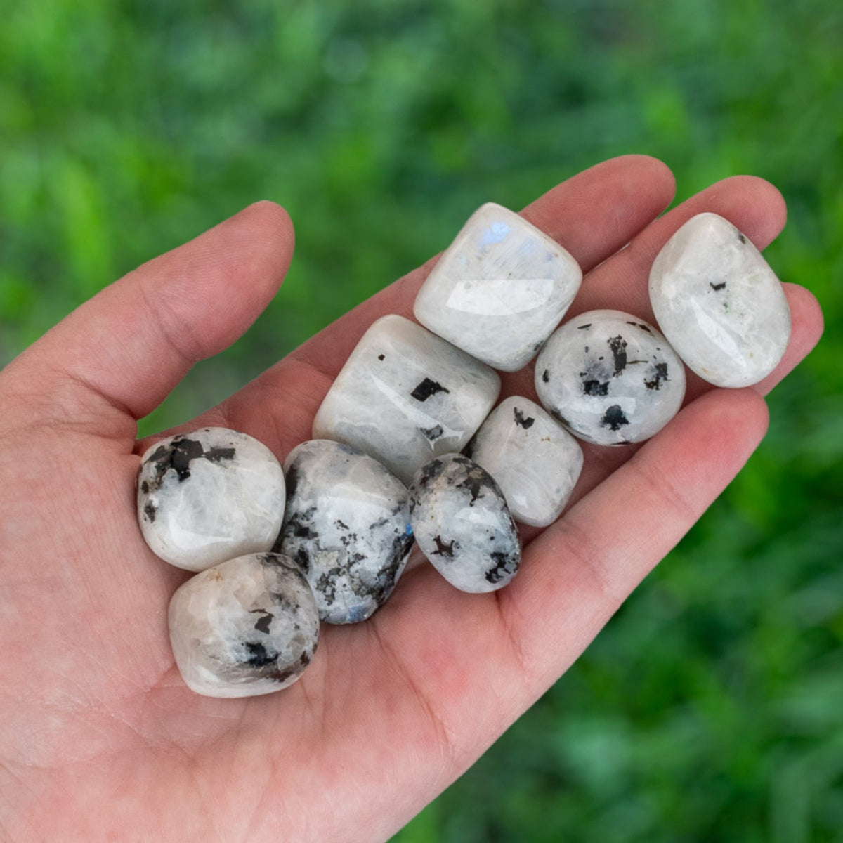 Rainbow Moonstone Tumbled 1lb