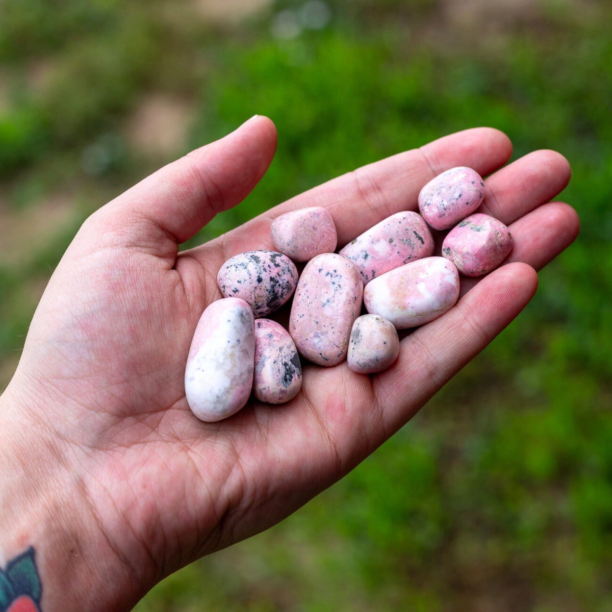 Rhodonite Tumbled 1lb