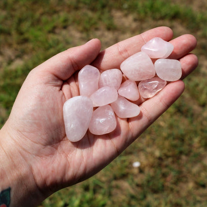 Rose Quartz Tumbled 1lb