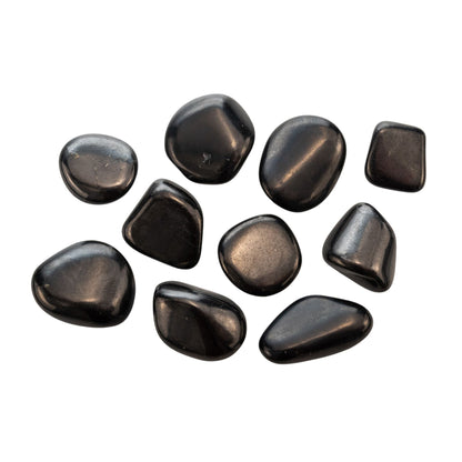 Shungite Tumbled 1lb