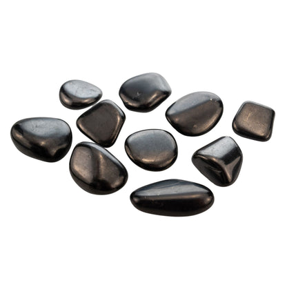 Shungite Tumbled 1lb