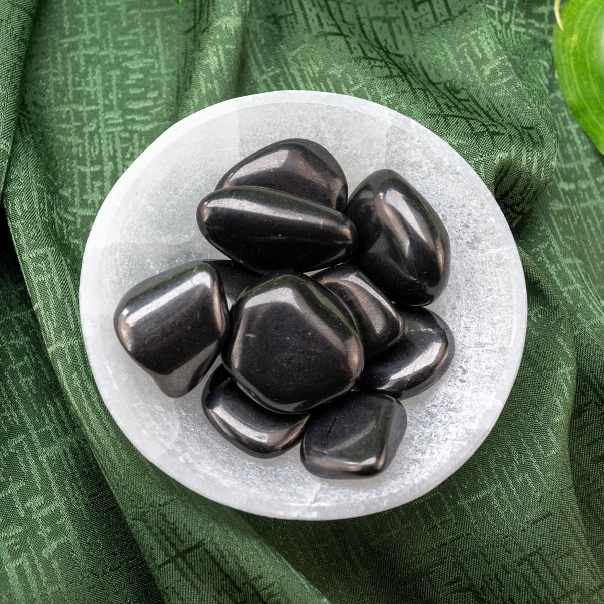 Shungite Tumbled 1lb
